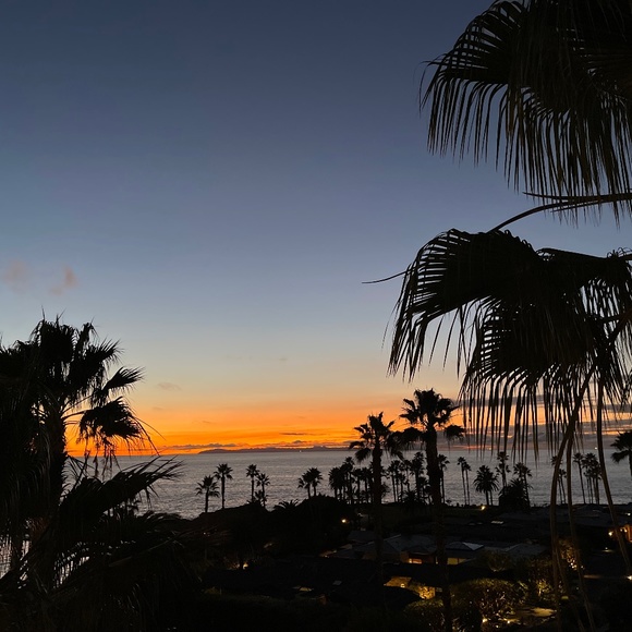 Live Show Notification - Picture 1 of 1